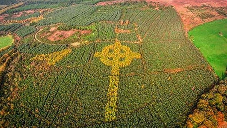 Mysterious Celtic Cross Discovered in Irish Forest