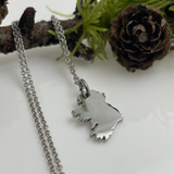 Ireland Map Necklace in Silver and Gold
