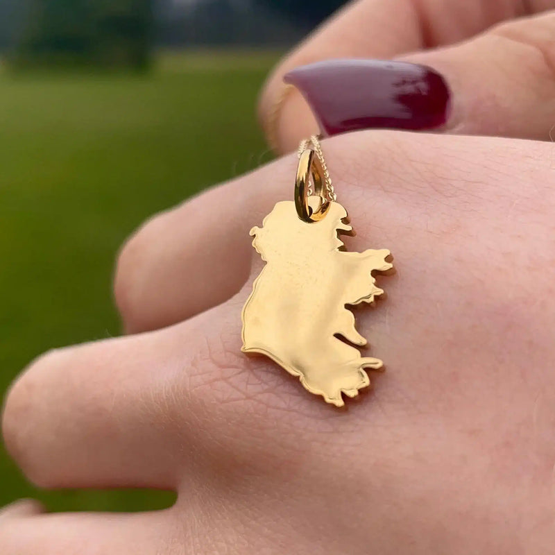 Ireland Map Necklace in Silver and Gold