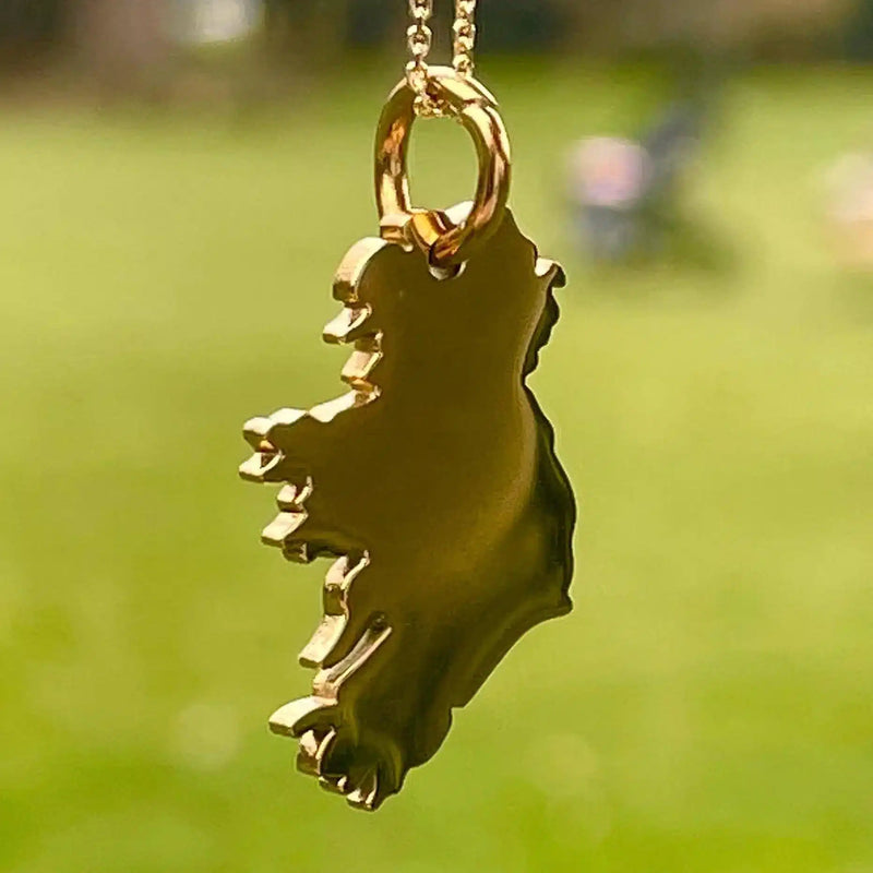 Ireland Map Necklace in Silver and Gold